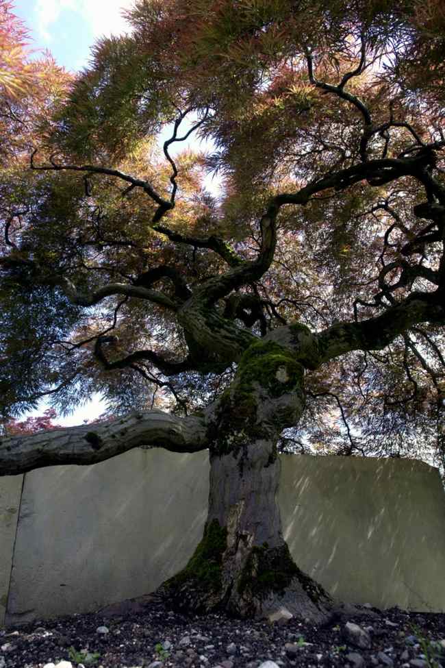 Upplev naturen nära destinationer Zürich