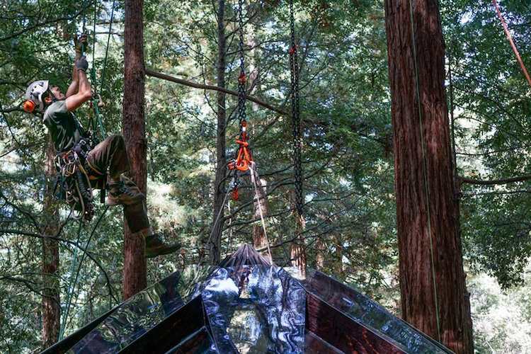 trädhus gjord av trä stål glas kotteform california o2 treehouse design hydda baldakin