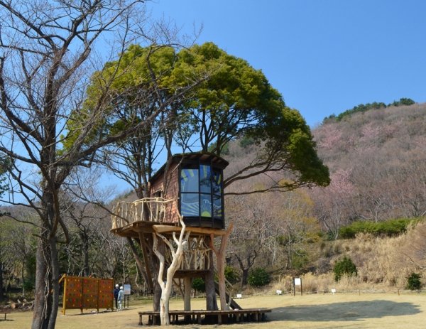 Trädhus bygga stylthus-Japan trä