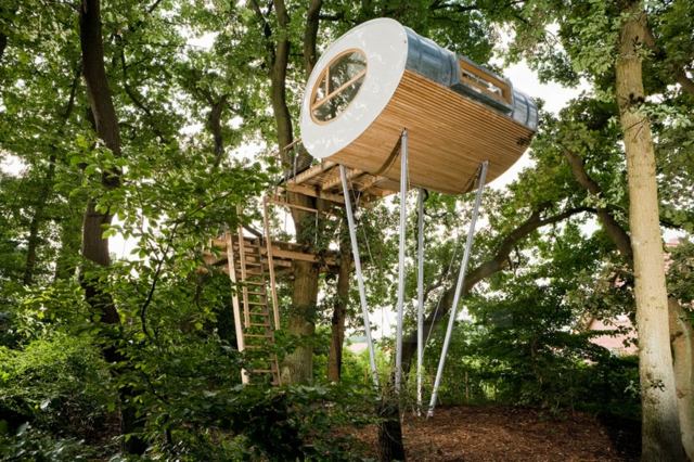 Treehouse-Djuren-äggformad-arkitektur-ek