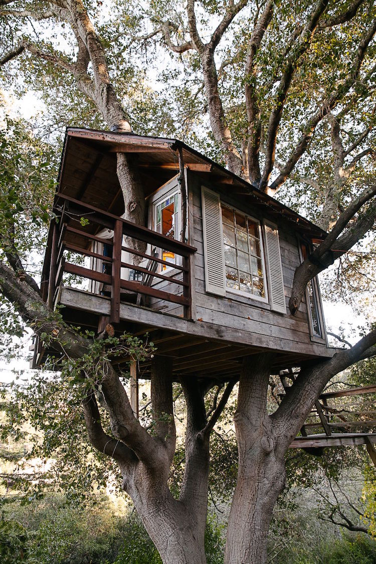 Treehouse träluckor uteplats utsikt