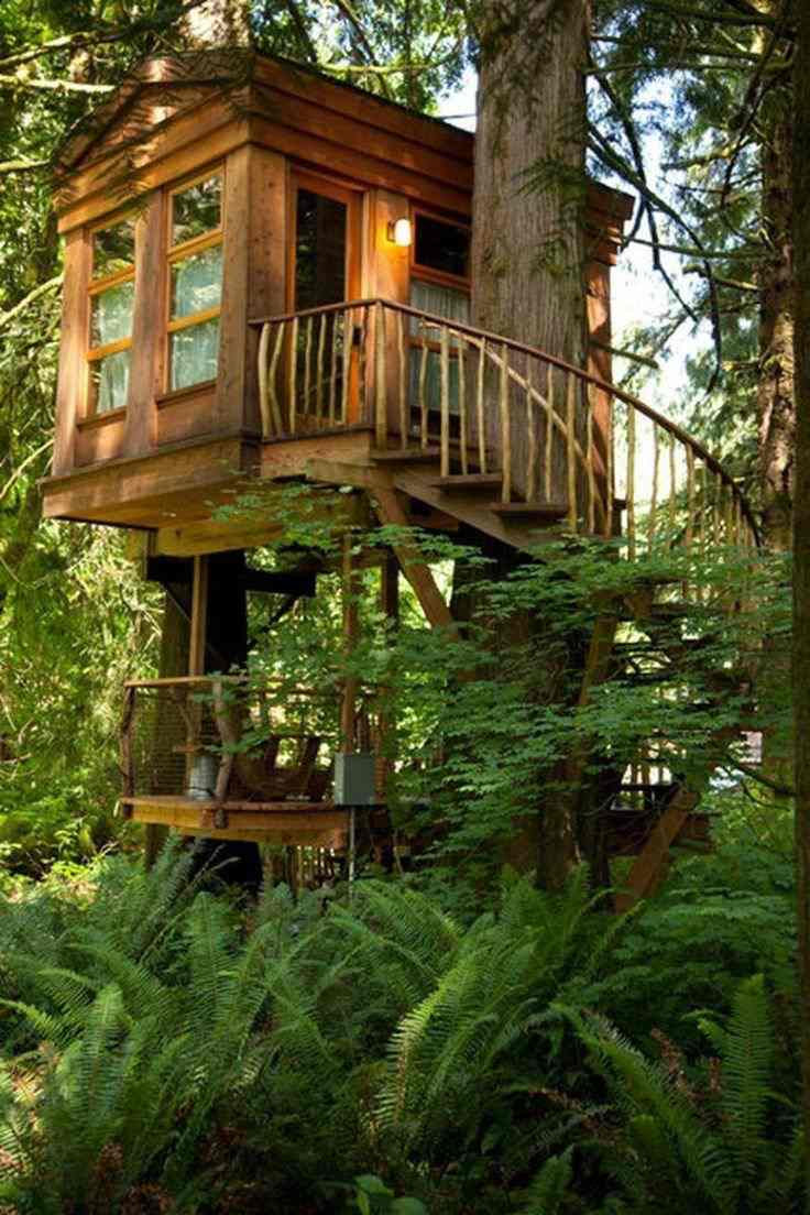 Treehouse wood höga skog ormbunkar skugga