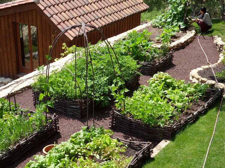 Sängkläder-trä-wattle-staket-land-hus-grönsaker-sängar-trädgårdsskötsel