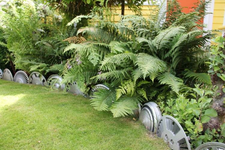 gamla navkapslar som trädgårdsgräns skapar kreativa idéer för gränser i trädgården
