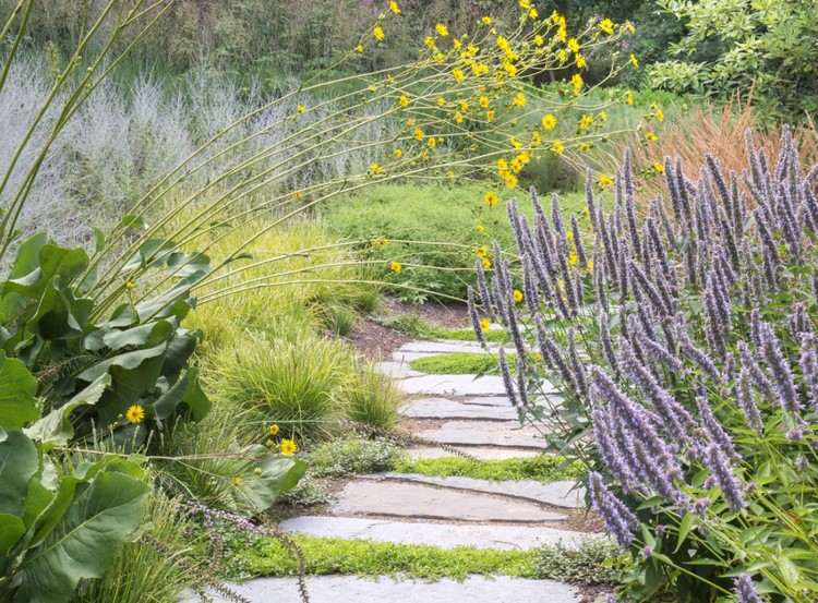Naturliga trädgård trottoar flaggstenar hösten huvud gräs