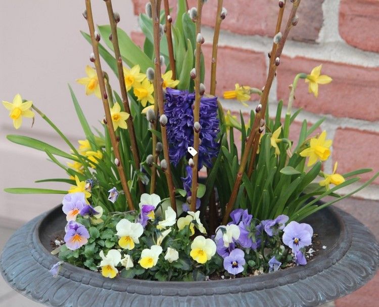 Vårblomkrukor av hyacint, påsklilja, pensé och fitta