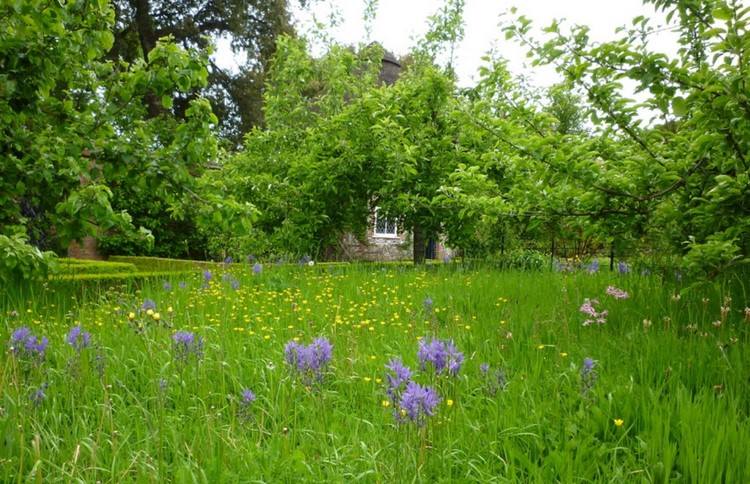 Naturlig trädgård äng blå och gul