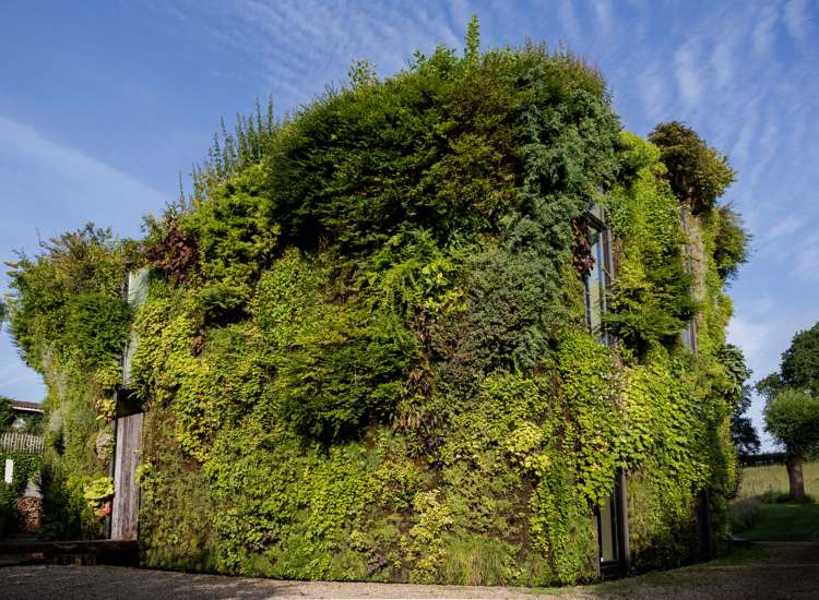 grön fasad naturligt levande modernt hus
