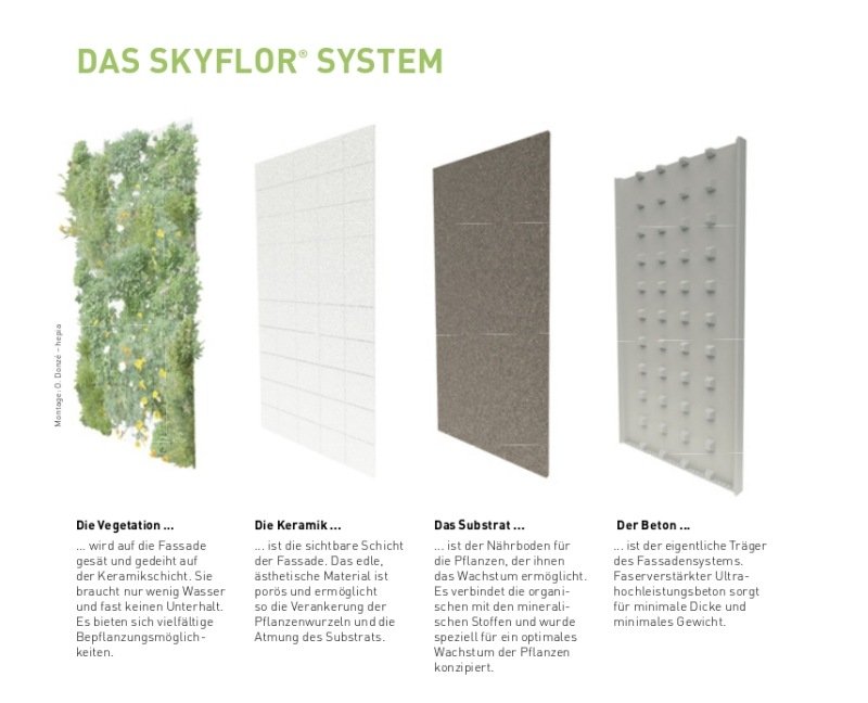 Gröna fasader system-skyflor-olika-lager