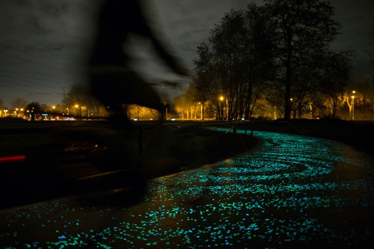 Upplysta cykelleder rutter Nederländerna LED -belysning romantisk