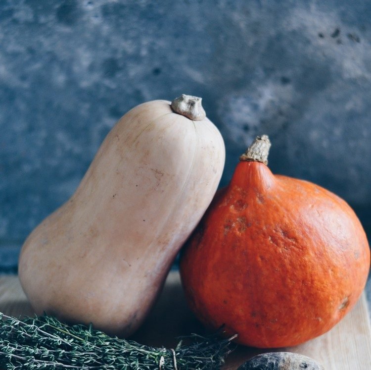 Pumpa recept populära-pumpa-sorter-ätbara-hokkaido-butternut-skillnader