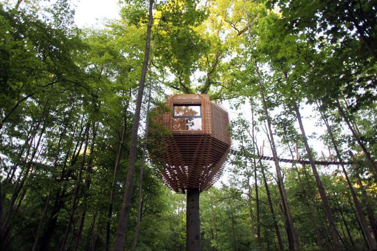 Tillbringa natten i trädhuset natur trä arkitektur skog