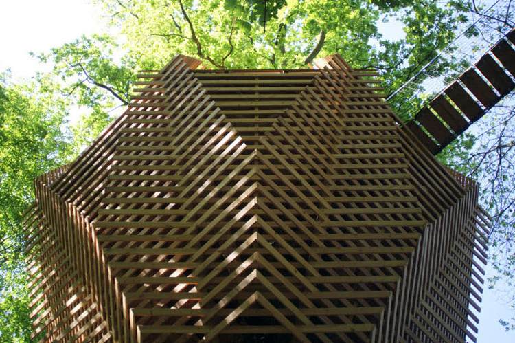övernatta trädkoja natur trä arkitektur struktur bro