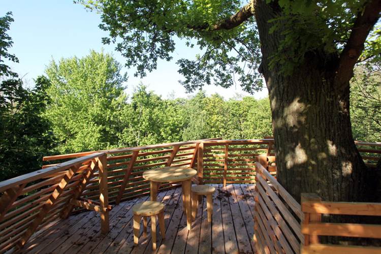 övernatta trädkoja natur terrass utsikt skog grön