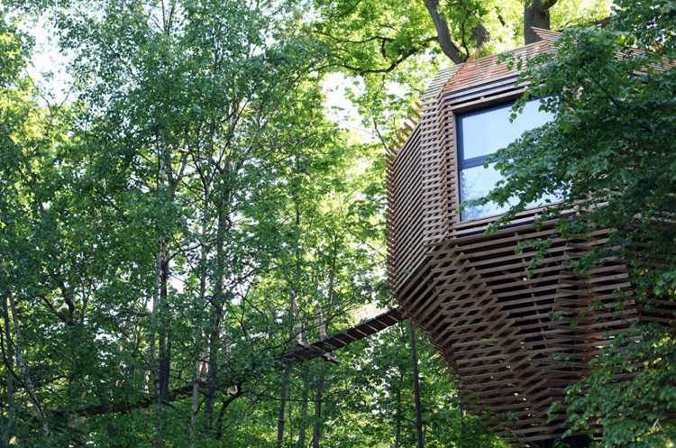 Tillbringa natten i trädhuset natur trä arkitektur fönster skog grön