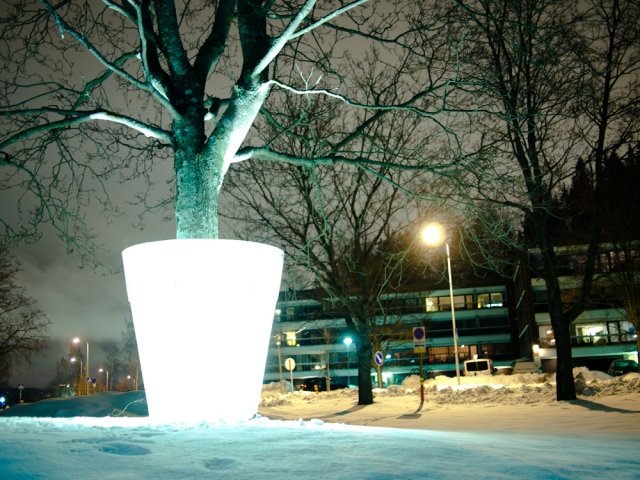 Adessin-Valopuu-planter-LED-lampa-utomhusinsats
