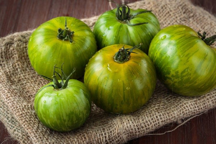 Gröna tomater är giftiga spindelvener ta bort huskurer