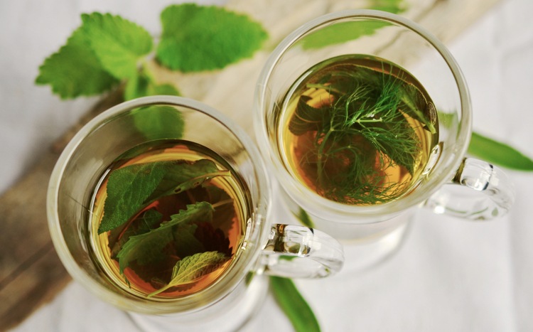 Medicinska örter mint dill te effekt hälsa