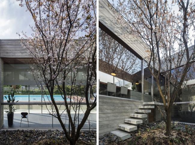 hus med pool i skogen Japan trädgård