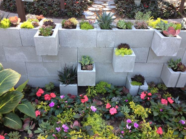 betong-skal-stenar-trädgård-vägg-dekorativa-planterings-succulenter
