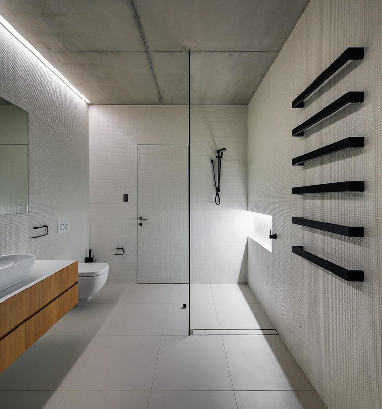 betongträ badrum minimalistisk duschglasvägg