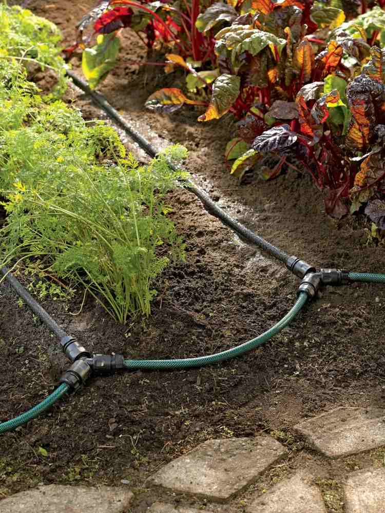bevattningssystem-i-trädgården-droppbevattning-slang-grönsaksbädd