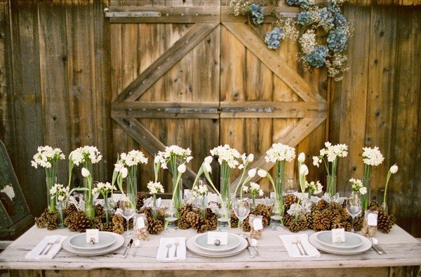 Dekoration-höst-bord-vita-blommor-kottar-rustika-bord-trädgård-idéer