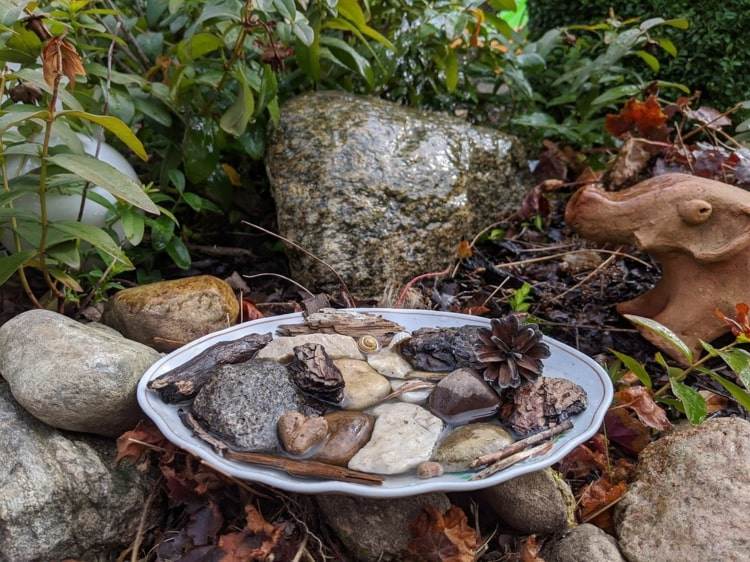 Använd djupa tallrikar och flodstenar för insektsvattning