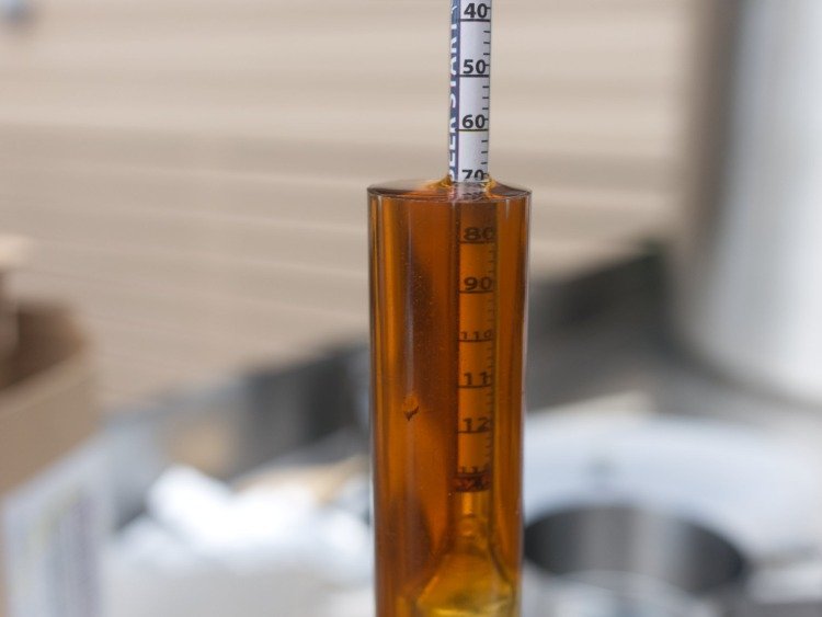 Mät alkoholhalten med en hydrometer i ett glas efter jäsning av öl