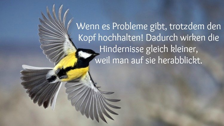 uppmuntrande ord bilder-problem-stress-vän-kollega