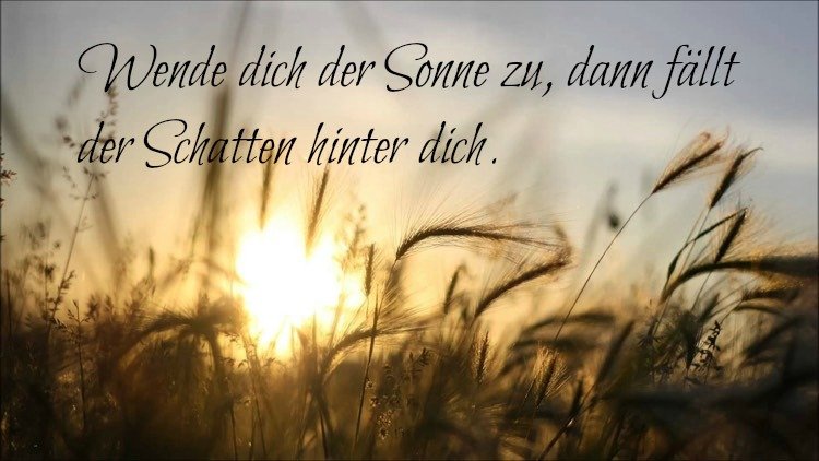 ord-muntra-upp-bilder-cool-smart-solskugga