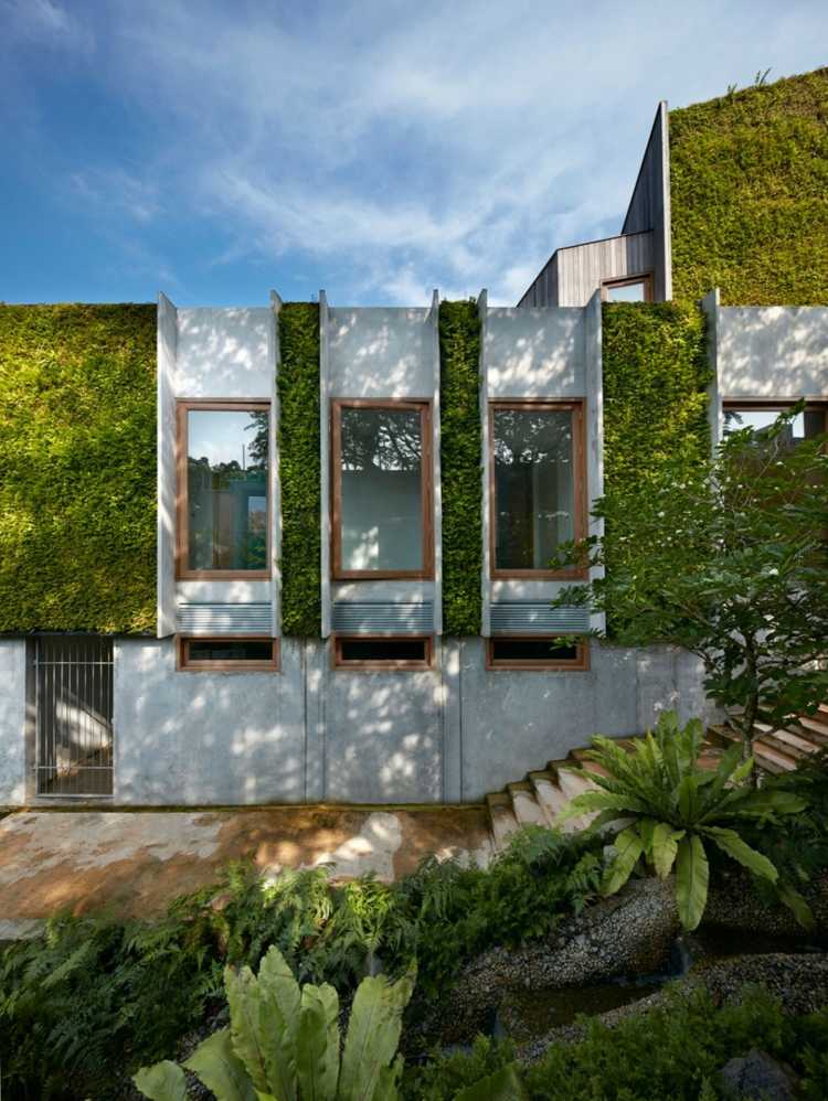 bio-sol-hus-fönster-idé-trä-fönsterkarmar-exotisk-plantering
