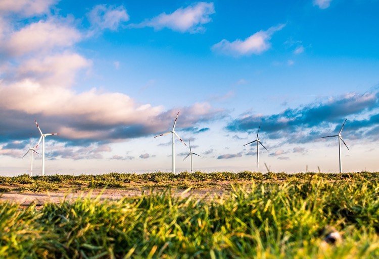 bioenergi-vindkraft-miljövänlig-hållbar-framtid