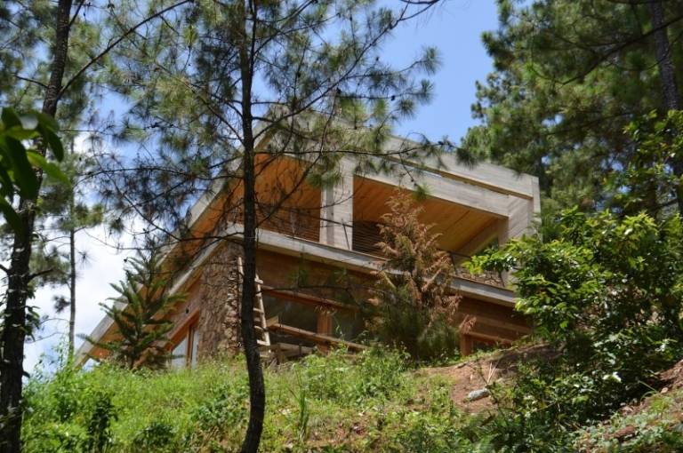 Bio-hus-bygg-trä-natursten-fasad-höga träd