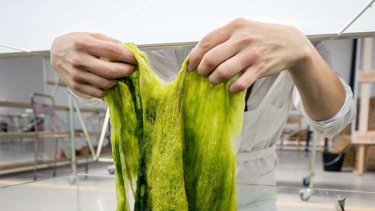 produktion av biobränsleprojekt alger använder naturliga ämnen laboratorium