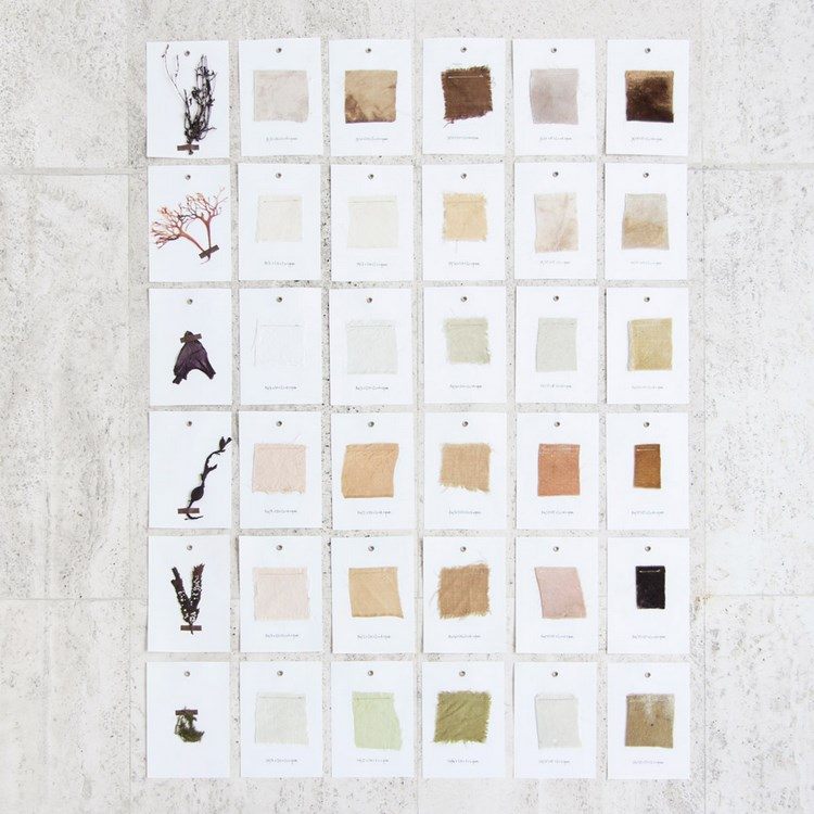 produktion av organiska material projekt alger majsstärkelse naturmaterial hållbar design havet mig samling prover prover