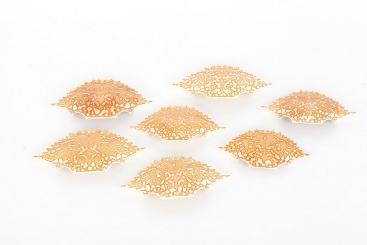 produktion av organiska material projekt ull hand krabbor halsduk plastmaterial vinna vatten glycerin