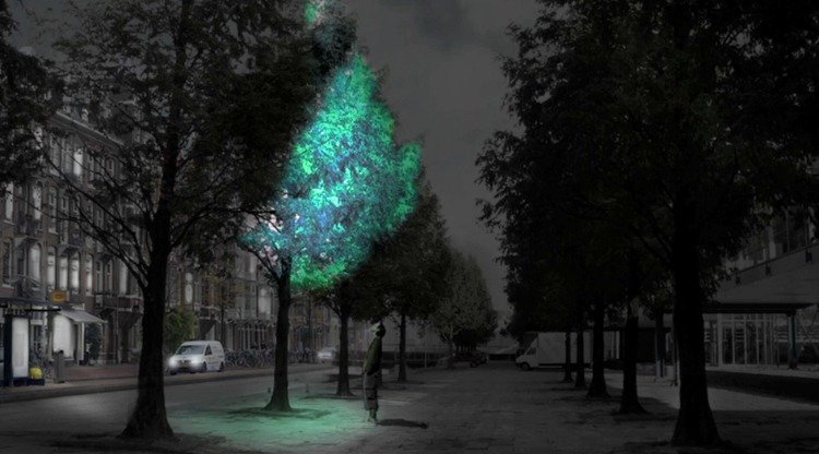 glödande träd i stadskonceptet utan elförbrukning av självlysande lampa