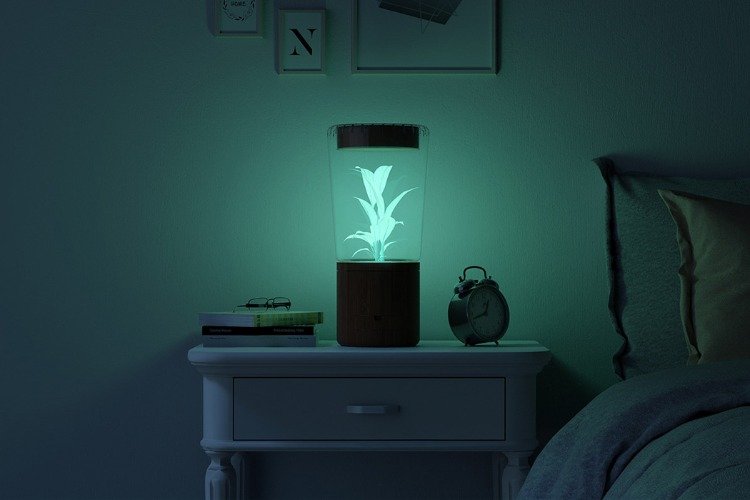 nattlampa bredvid sängen med bioluminescens innovativ design