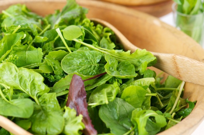 färsk sallad hälsosam mat trädgård frön skörda växter