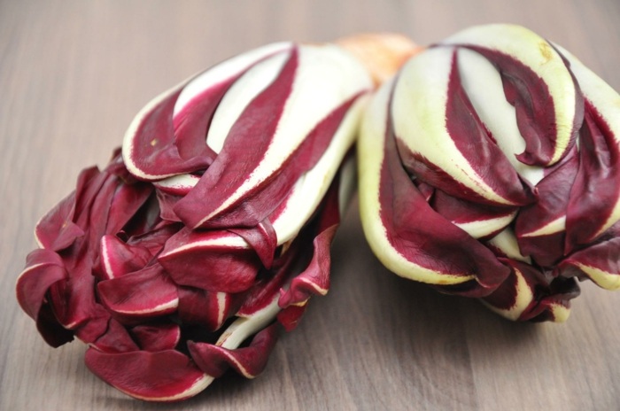 radicchio arter långsträckta salladsväxter röd färg frisk