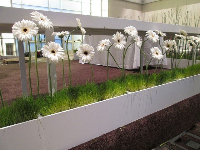 Livliga dekorationsidéer för krukväxter och vita blommor