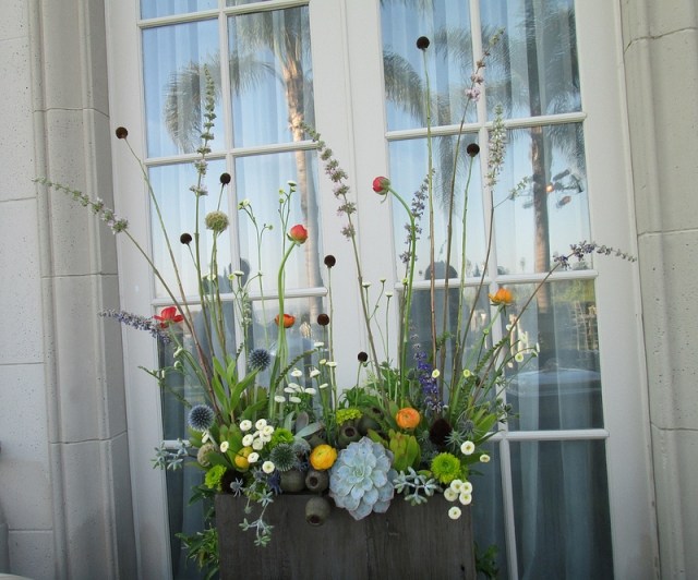 Plantera krukor fönster dekorera-arrangera arrangera blomsterarrangemang