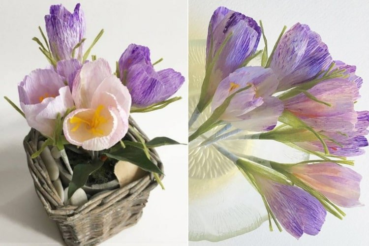 Gör krokusar som blommor av crepe -papper i syren på våren