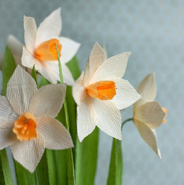 Gör vårblommor av crepe -papper - påskliljor i vita eller gula påskliljor