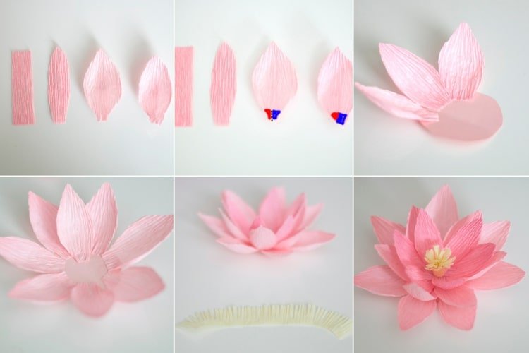 Gör blommor av crepe -papper - vacker och enkel näckros i rosa