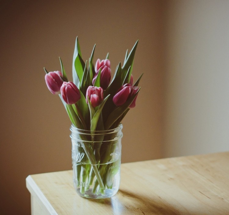 blomma-dekoration-vår-lila-tulpan-sylt-burk