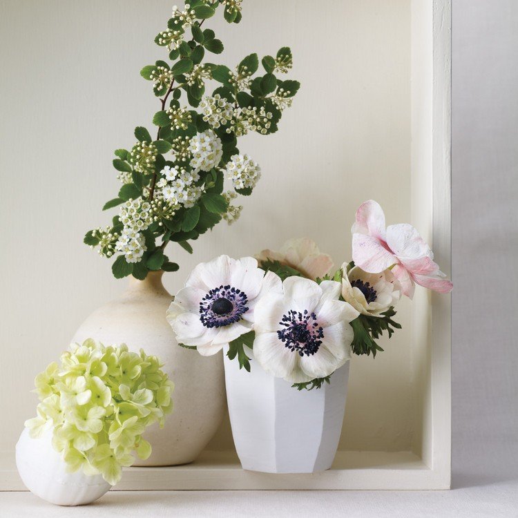 Blomma dekoration i våren vit-anemone-våren grenar
