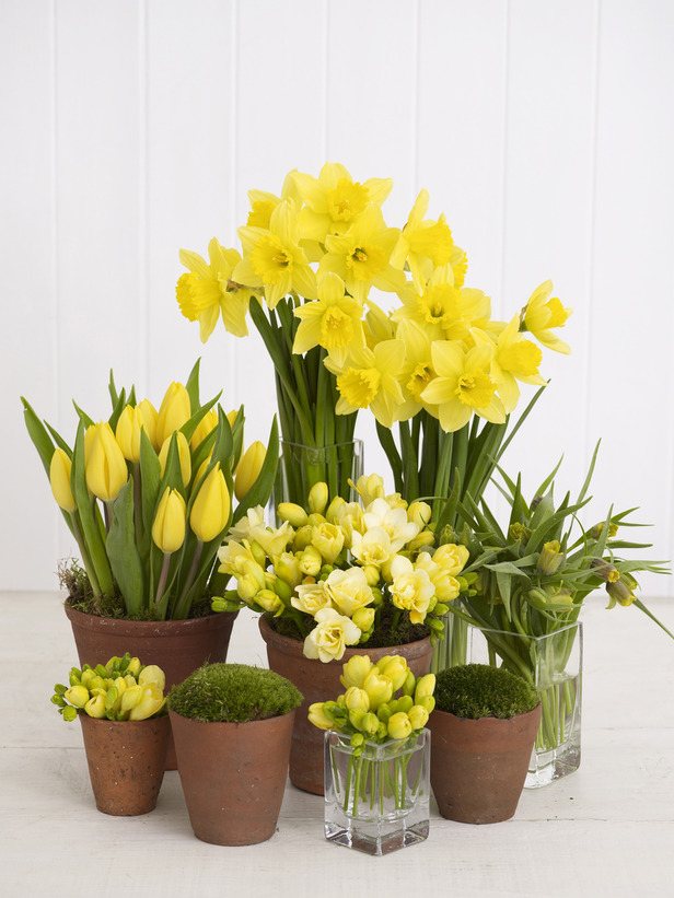 Blomma dekoration på våren hemma gula tulpaner påsklilja