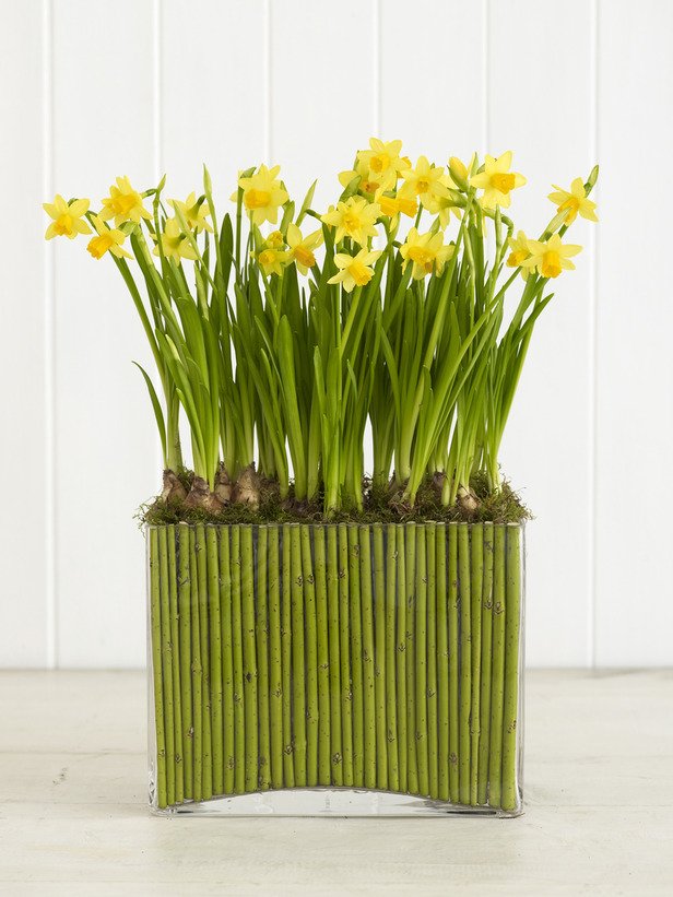 blommor dekoration vårblomma arrangemang påsklilja glas vas